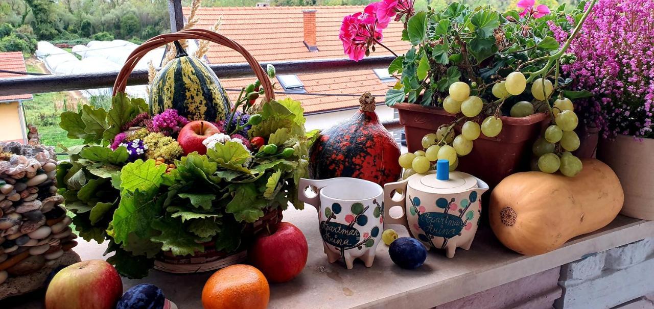Apartman Arina Zagrzeb Zewnętrze zdjęcie