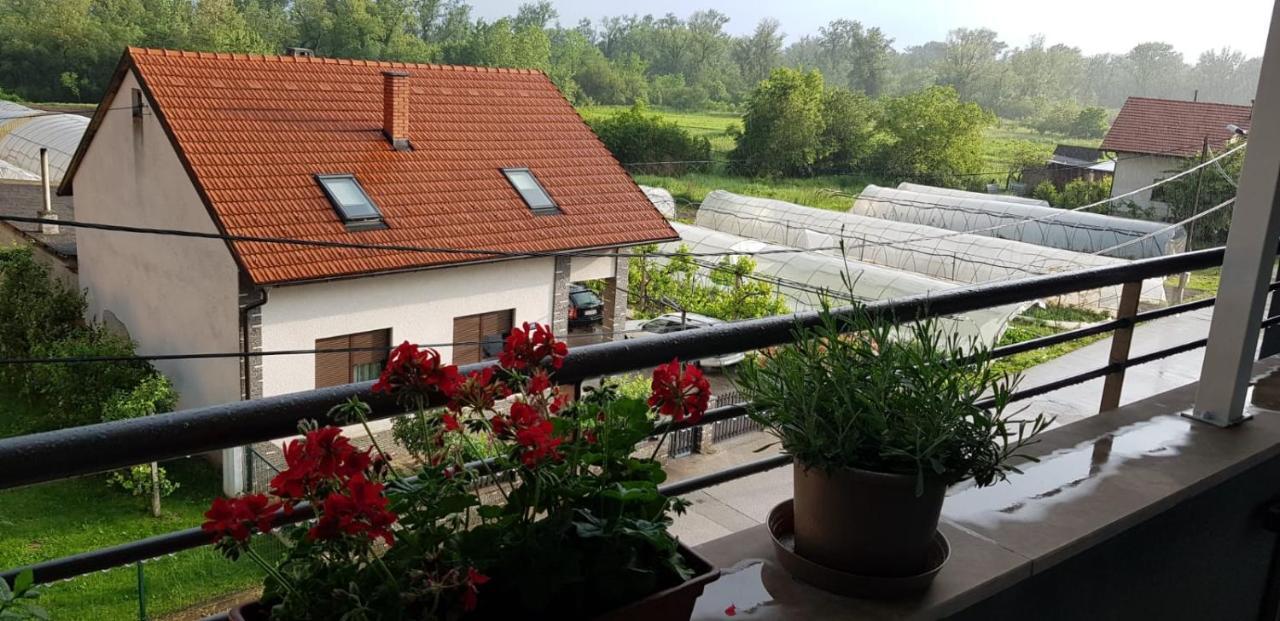 Apartman Arina Zagrzeb Zewnętrze zdjęcie